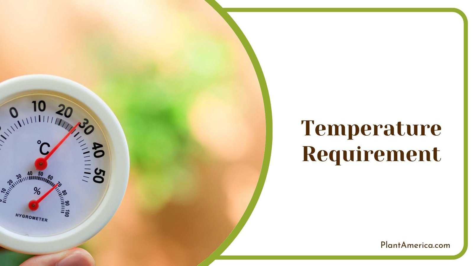 Circle Thermometer In Hand Of a Person Plant America