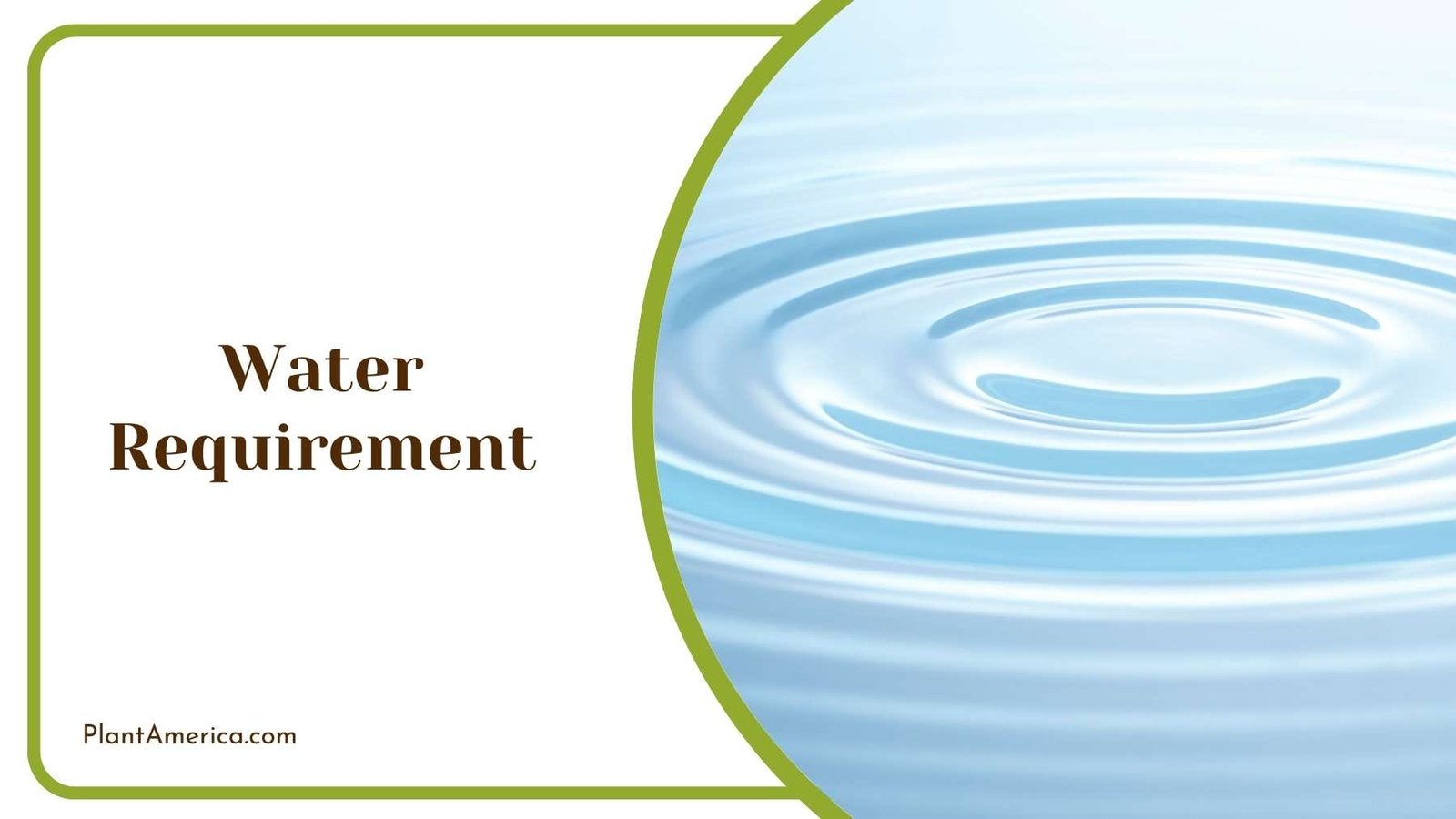 Circle of Dropped Water Plant America Circle of Dropped Water Plant America