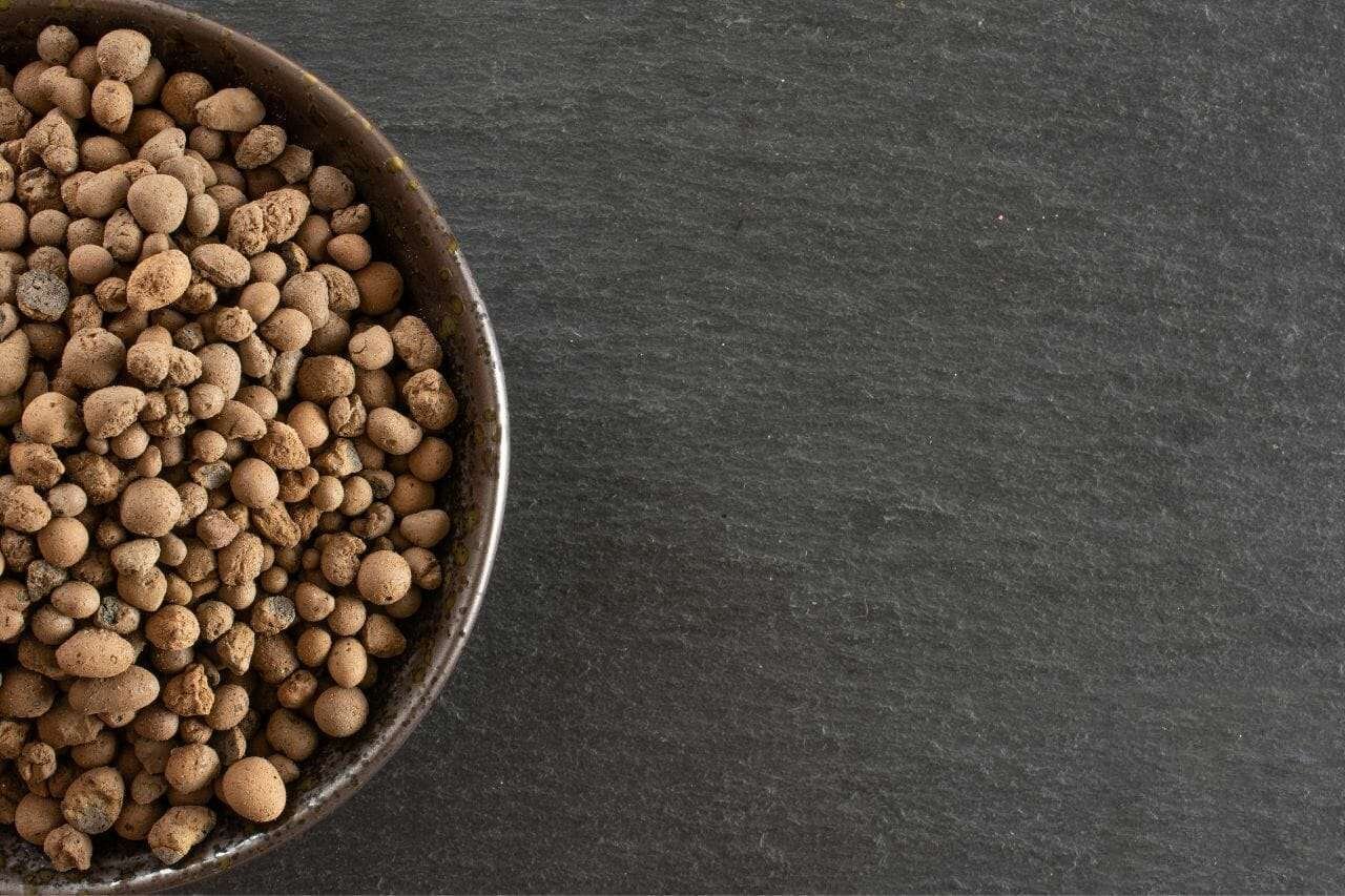 Clay pebbles leca on grey stone Plant America