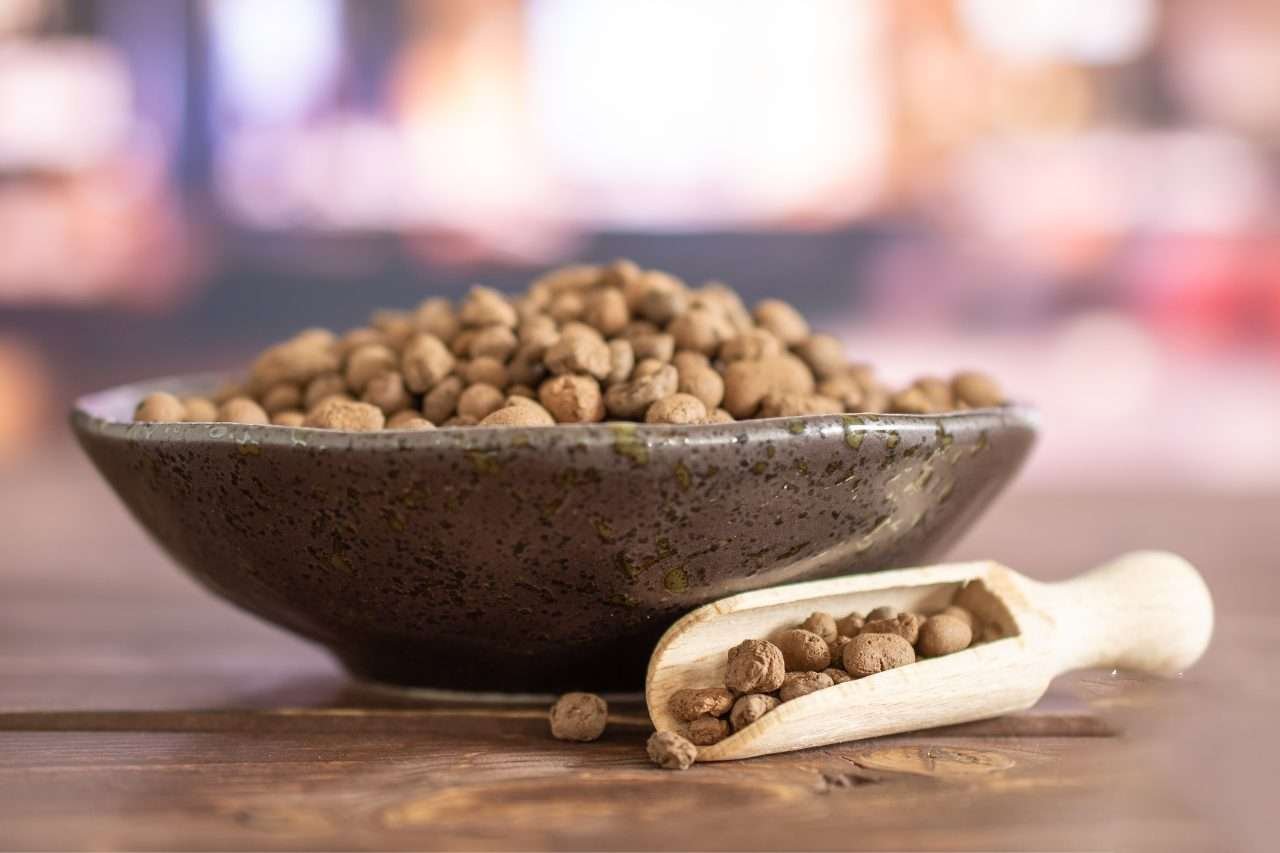 Clay pebbles leca with restaurant Plant America