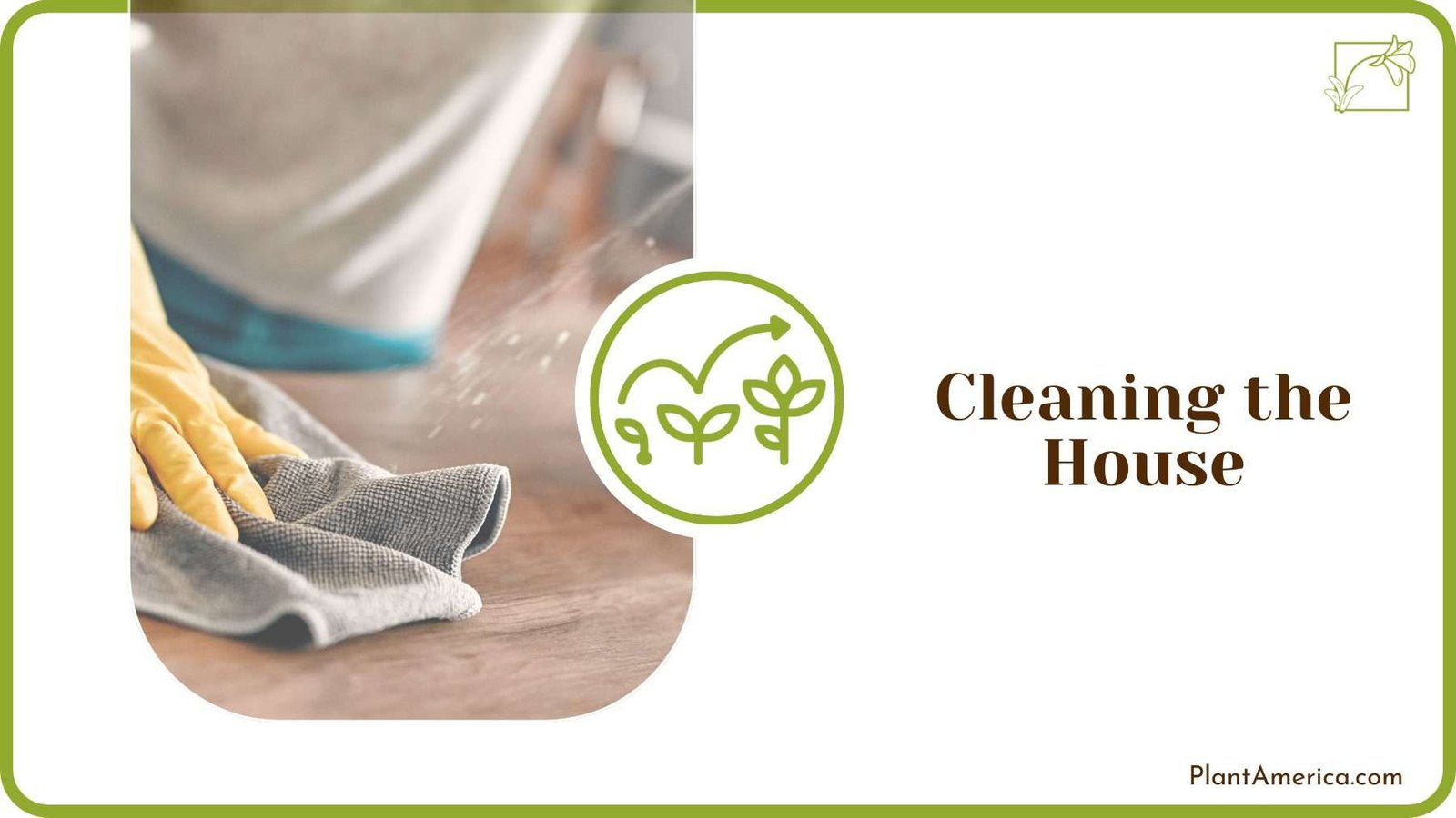 Cleaning the House PlantAmerica