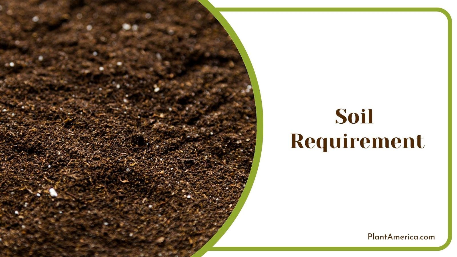 Close Shot Of Soil For Gardening Plant America