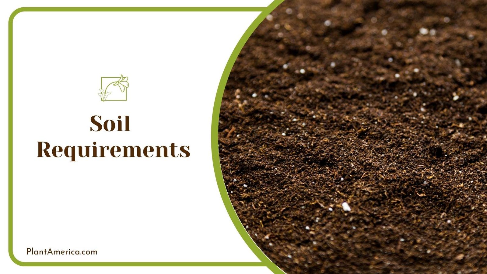 Close Up Of Soil On Ground ~ Plant America