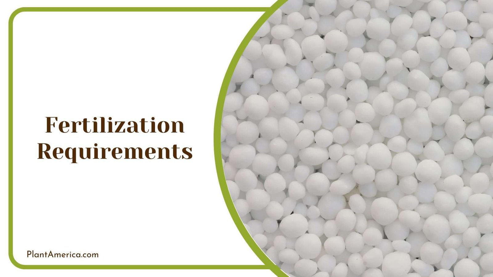 Close Up On Chemical Fertilizer Plant America