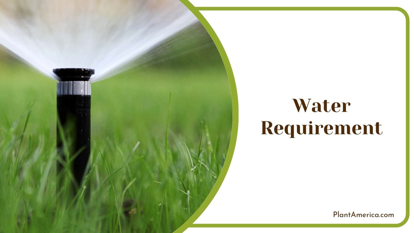 Close Up On Watering System Plant America 1