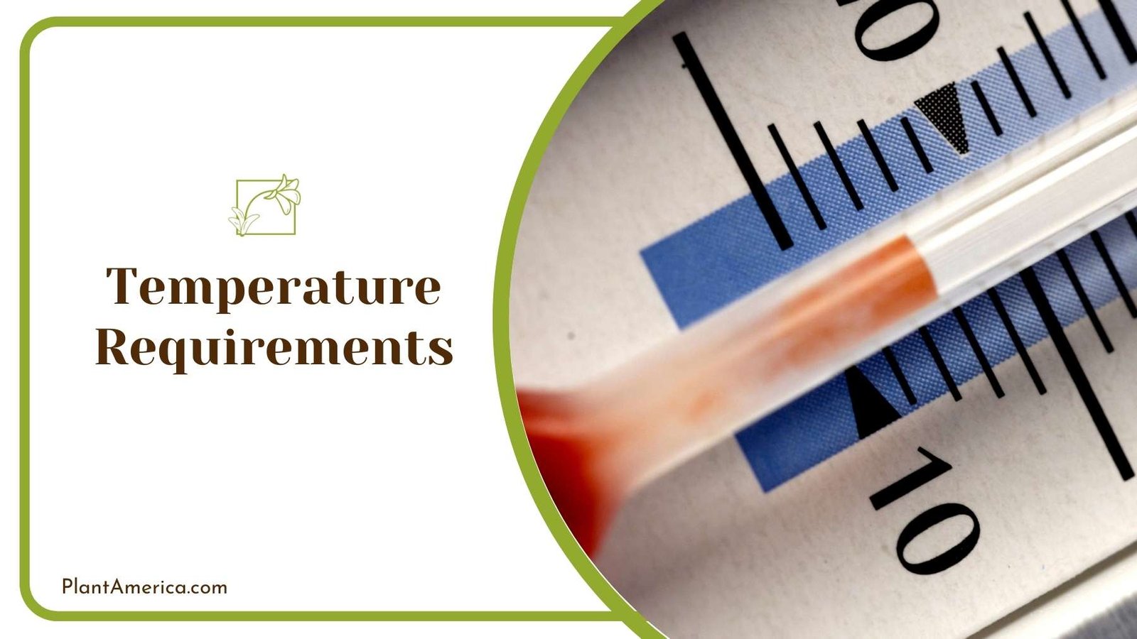 Close Up On a Thermometer ~ Plant America