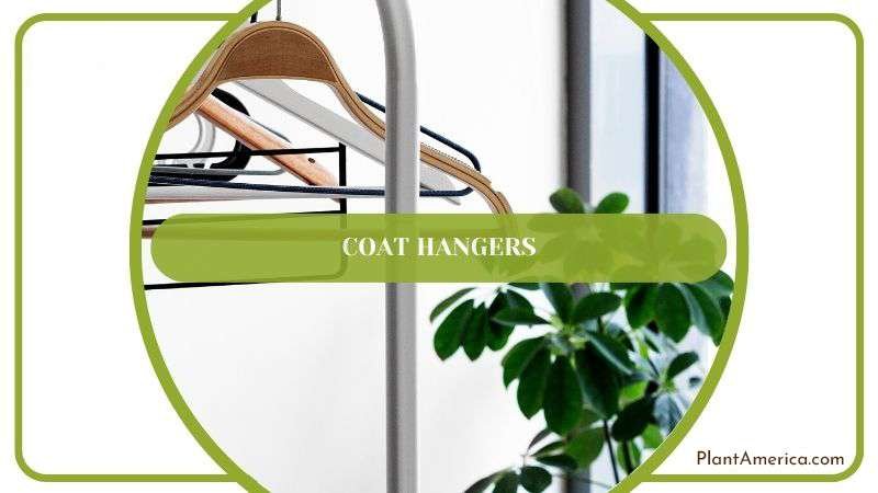 Coat Hangers for Indoor Plants Plant America