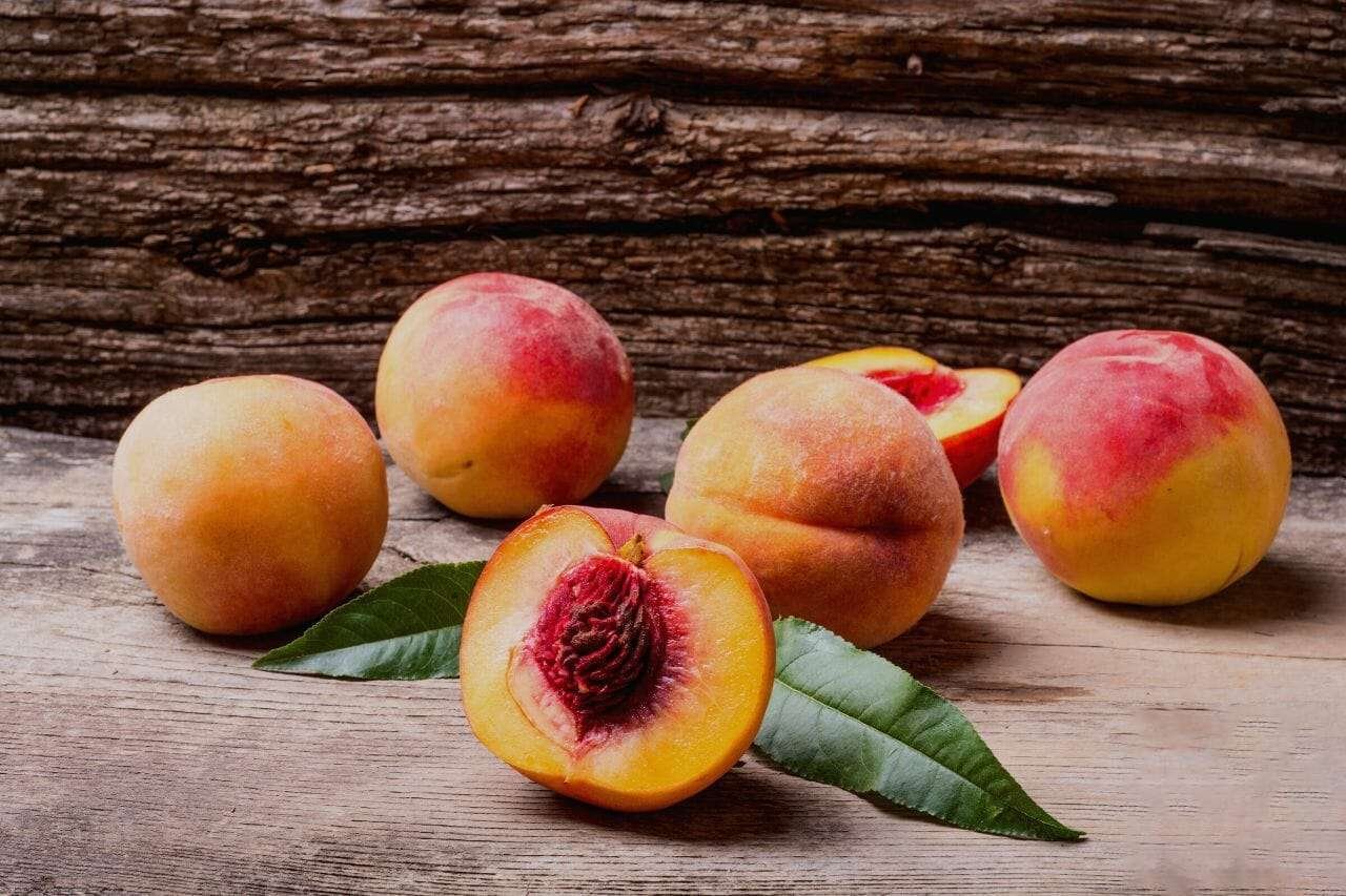 Contender Peaches PlantAmerica