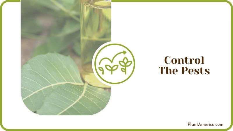 Control The Pests Plant America Control The Pests Plant America
