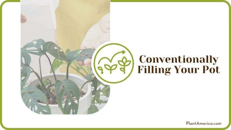 Conventionally Filling Your Pot Plant America