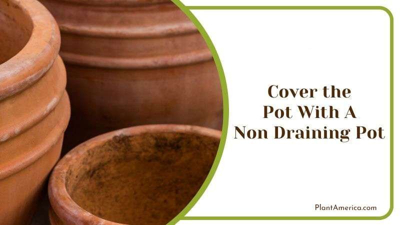 Cover the Pot With a Non Draining Pot Plant America