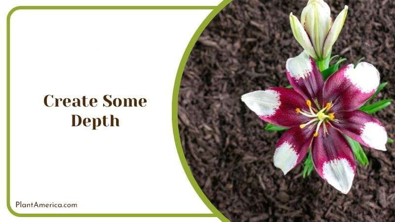 Create Some Depth PlantAmerica