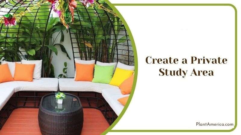 Create a Private Study Area Plant America Create a Private Study Area Plant America