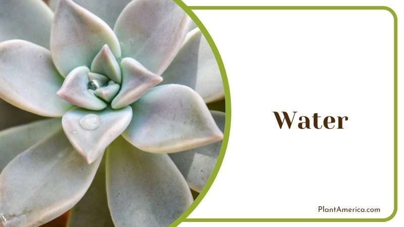 Create a watering timetable Plant America Create a watering timetable Plant America