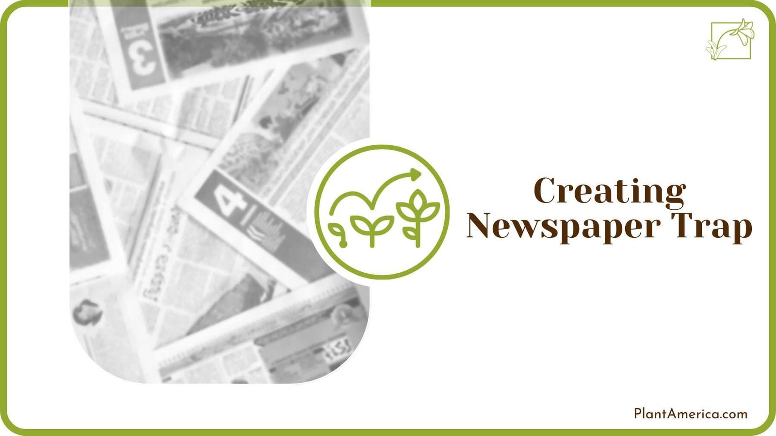 Creating Newspaper Trap PlantAmerica