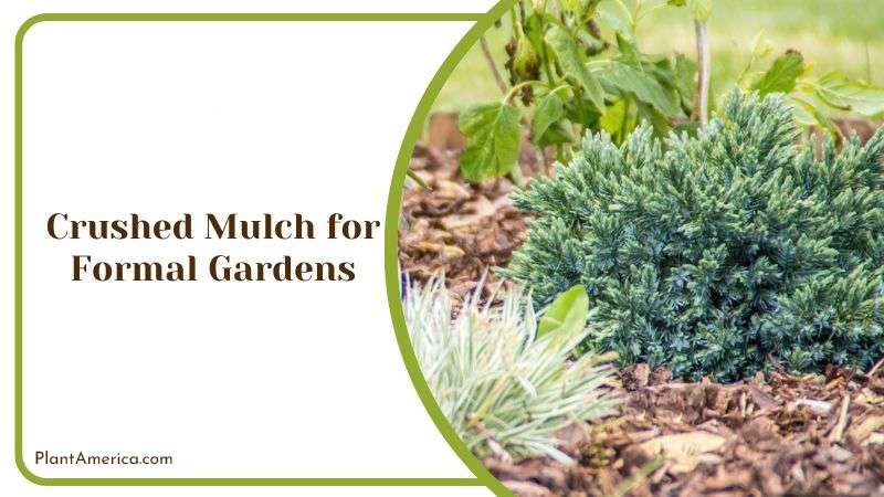 Crushed Mulch for Formal Gardens PlantAmerica