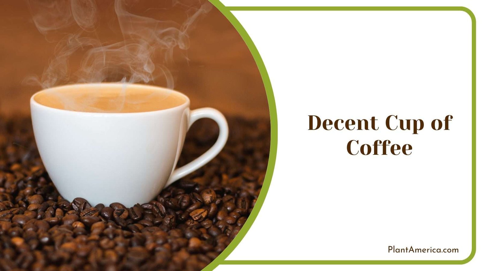 Decent Cup of Coffee Plant America