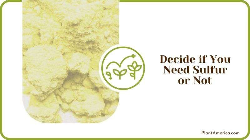 Decide if You Need Sulfur or Not PlantAmerica