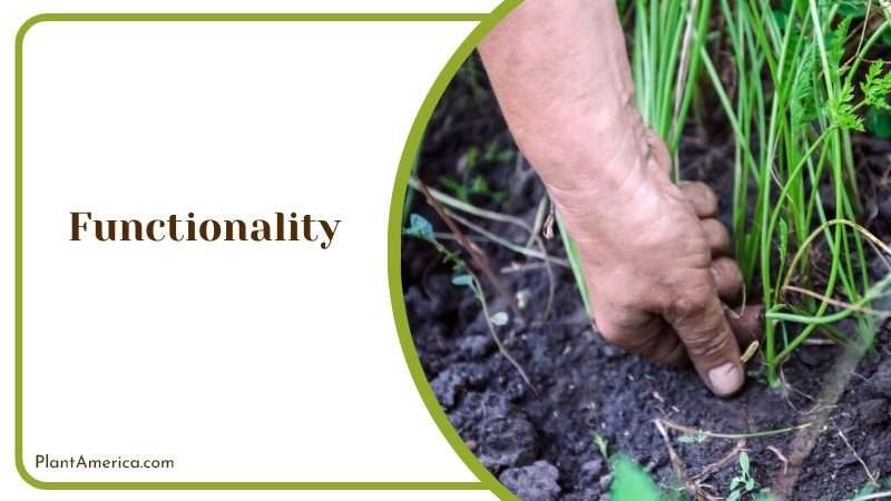 Destroying Weeds from Garden PlantAmerica