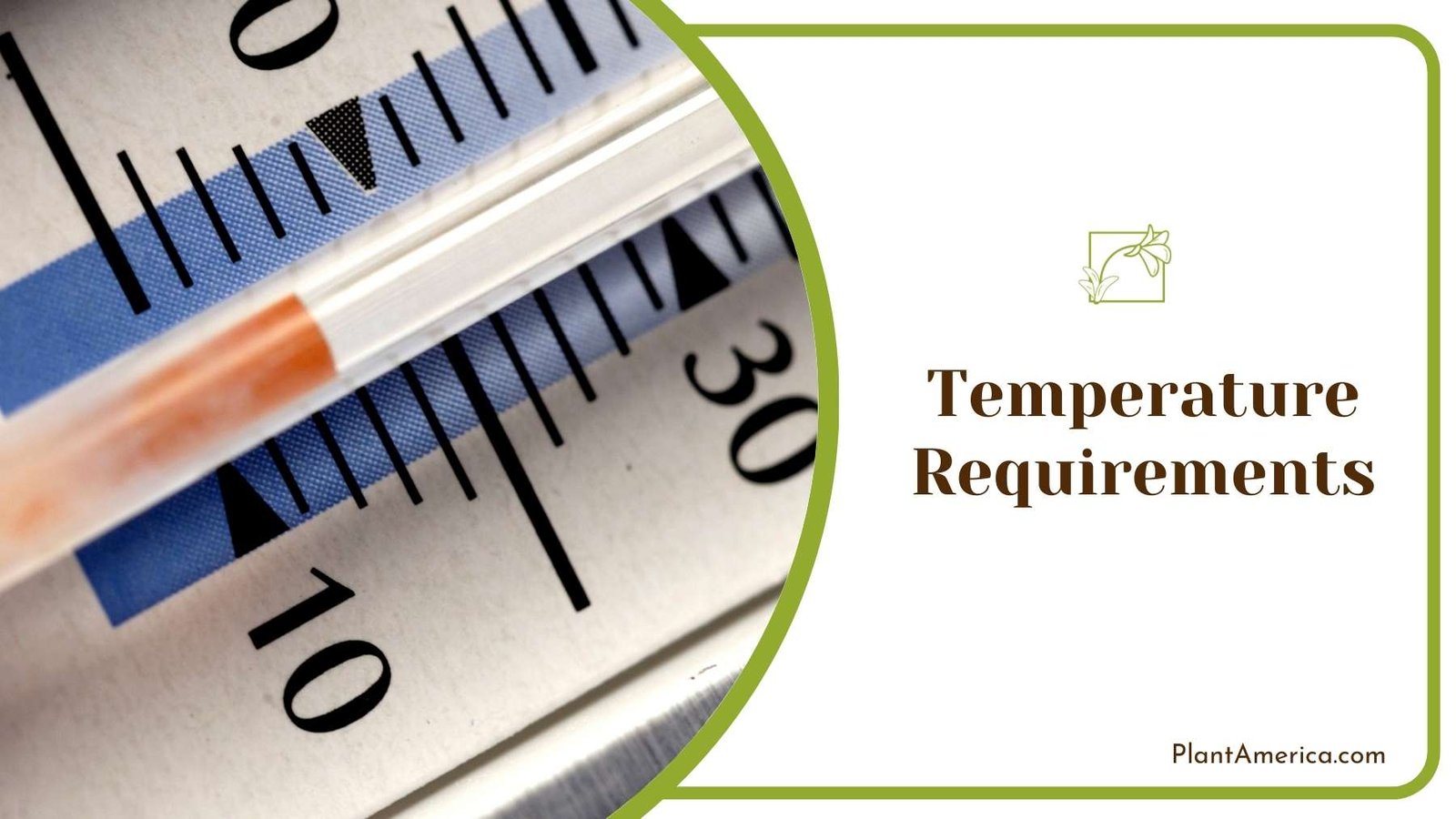 Details Of a Thermometer ~ Plant America