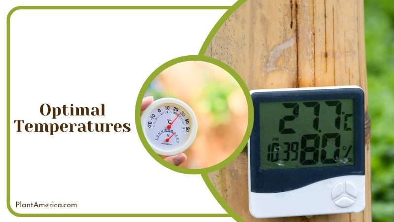 Different plants need different temperatures to thrive Plant America