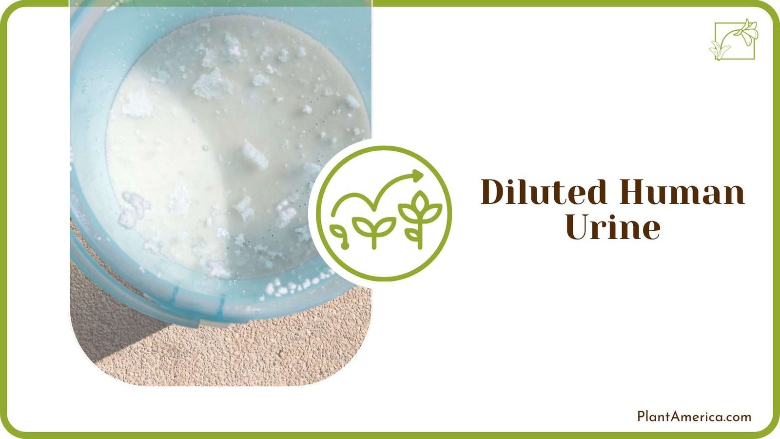 Diluted Human Urine PlantAmerica