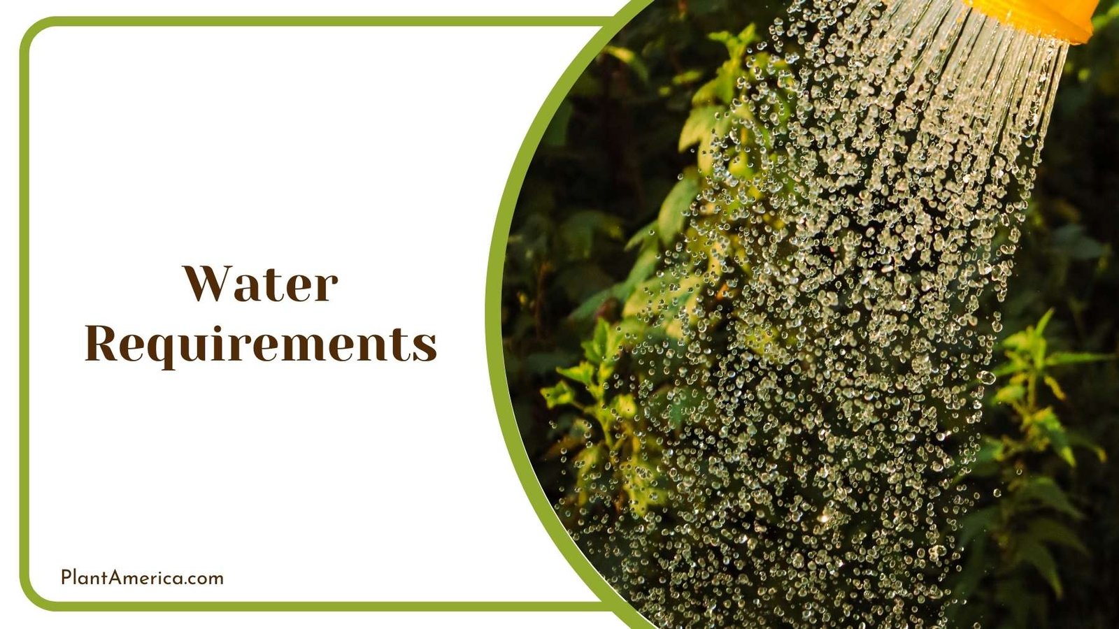 Drops Of Water Out Of a Nozzle Plant America