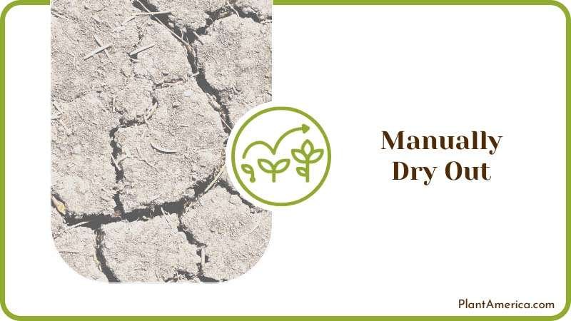 Dry Out Soil Manually Plant America Dry Out Soil Manually Plant America