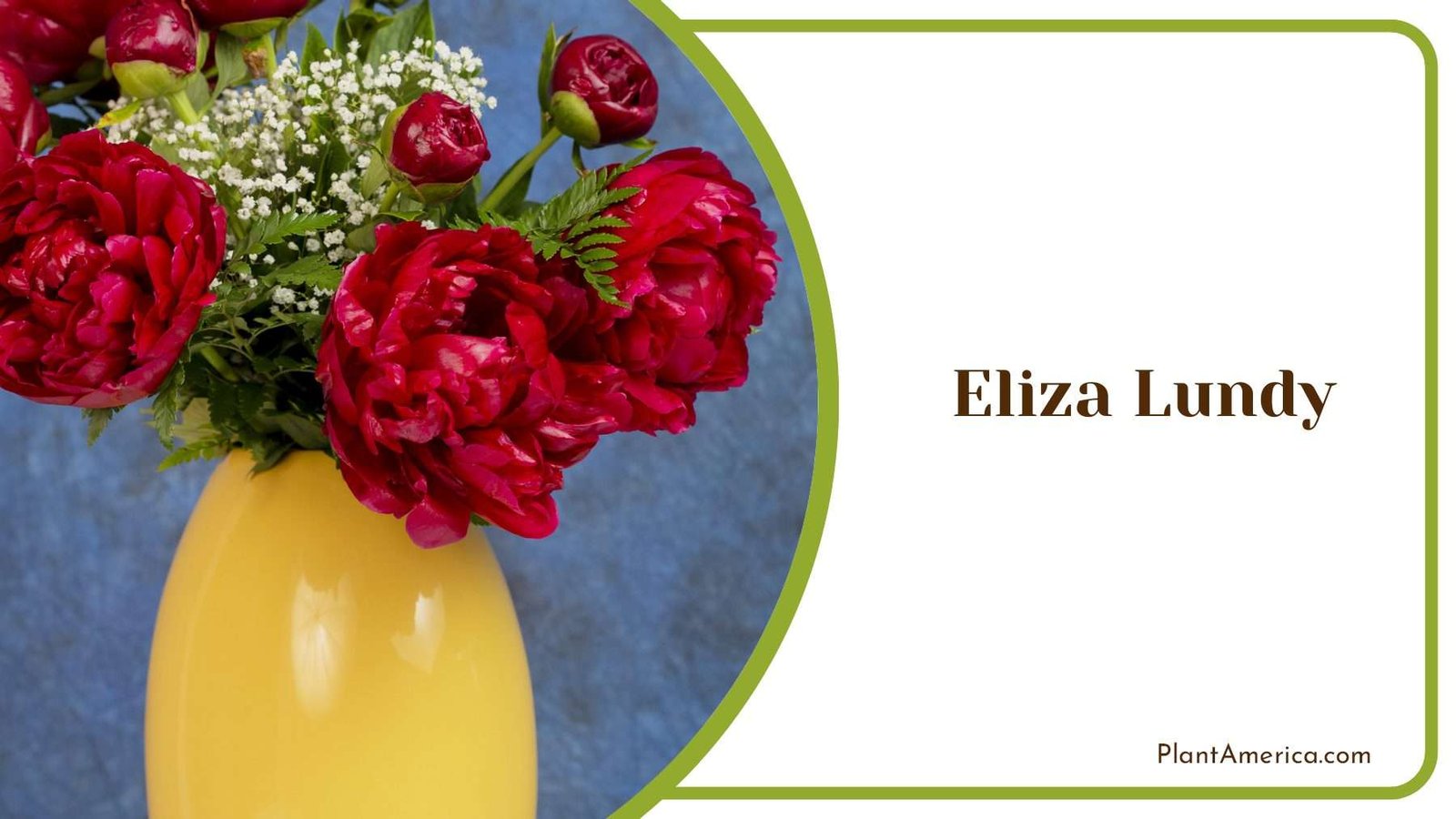 Eliza Lundy In Yellow Pot Plant America