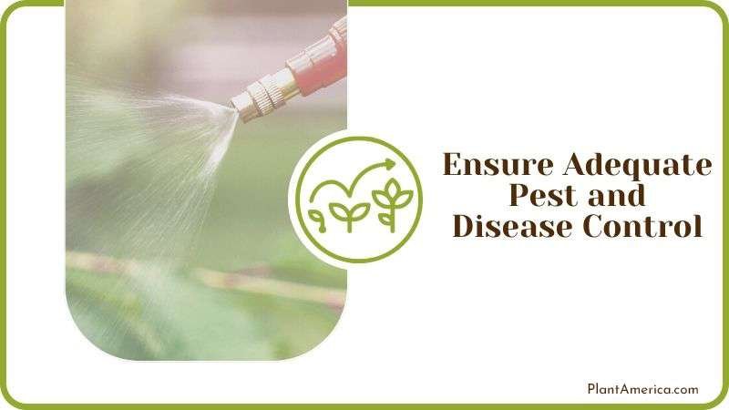 Ensure Adequate Pest and Disease Control PlantAmerica