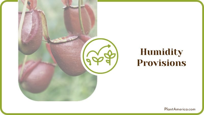 Ensure the Right Humidity Provisions Plant America