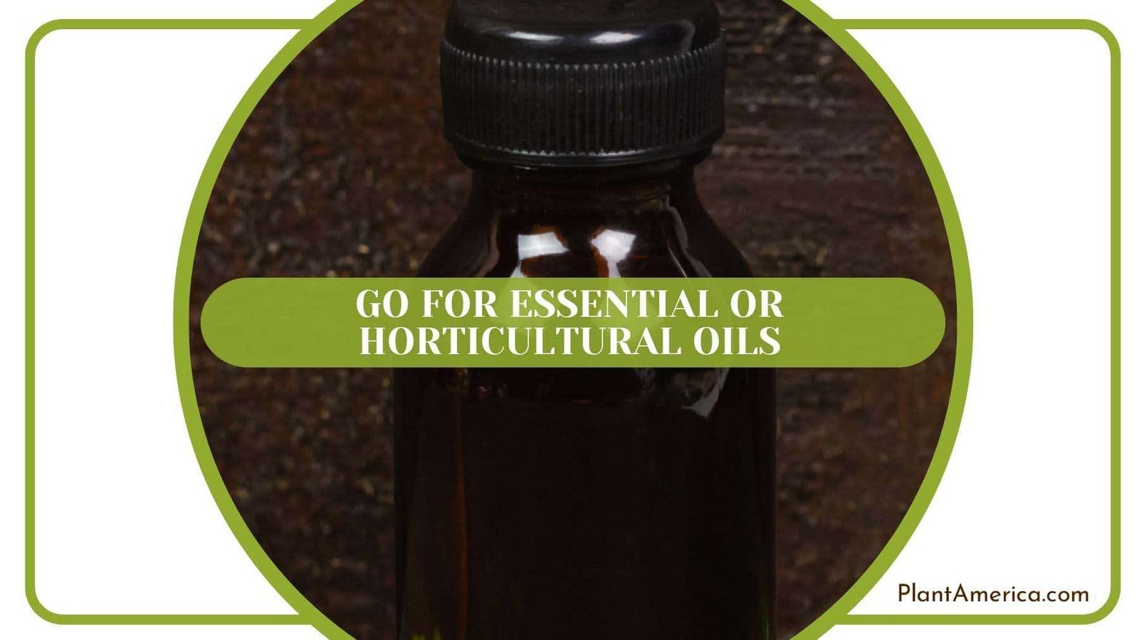 Essential or Horticultural Oils PlantAmerica Essential or Horticultural Oils PlantAmerica