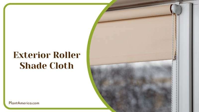 Exterior Roller Shade Cloth for Plant Plant America