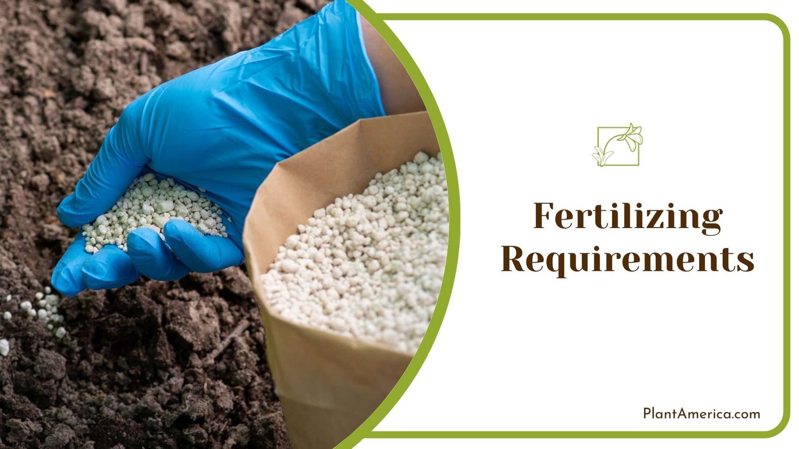 Farmer Tossing Fertilizer On a Land ~ Plant America