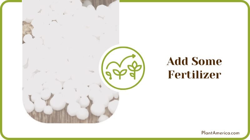 Fertilizer Once a Month to Your Water Plant America