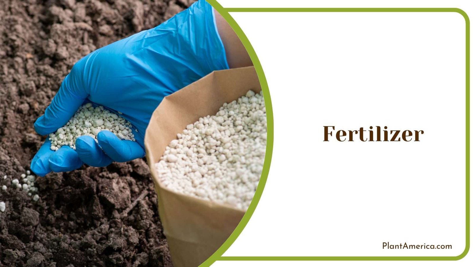 Fertilizer Plant America