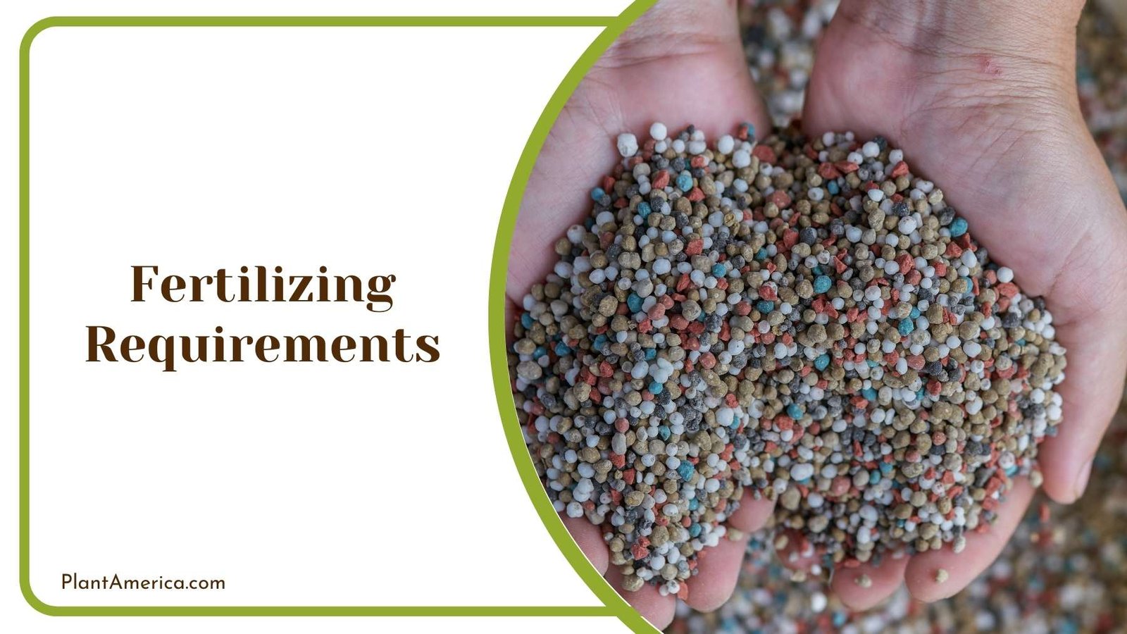 Fertilizers In a Hand Plant America