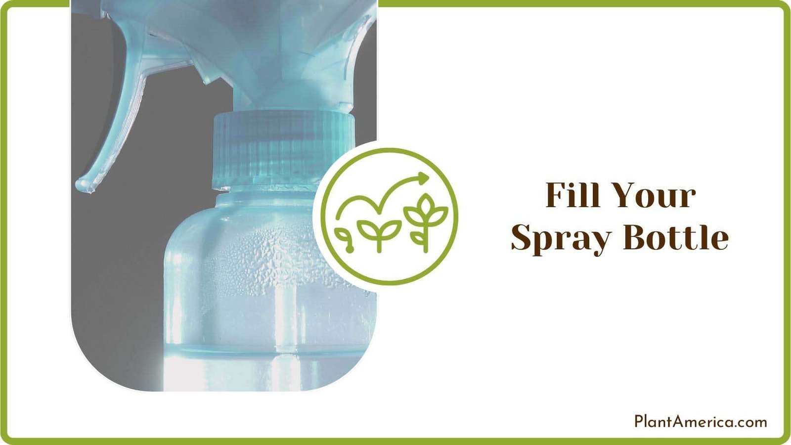 Filling Neem in Spray Bottle PlantAmerica