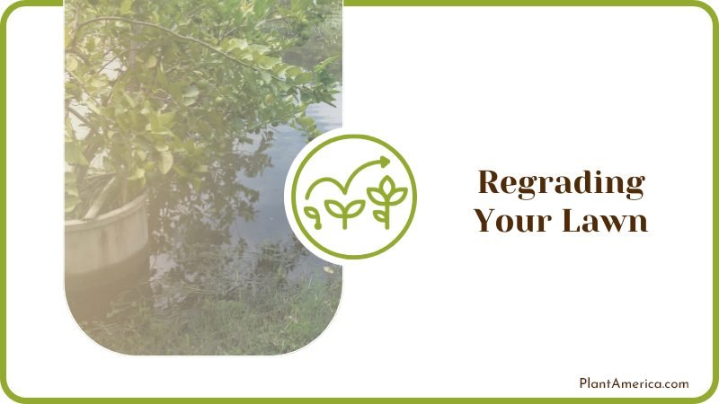 Flooding In Backyard