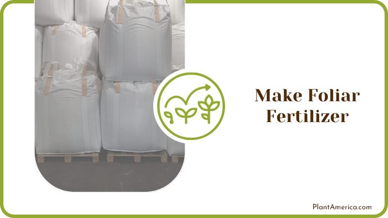 Foliar Fertilizer for Plants Plant America