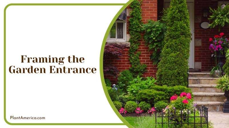 Framing the Garden Entrance Plant America