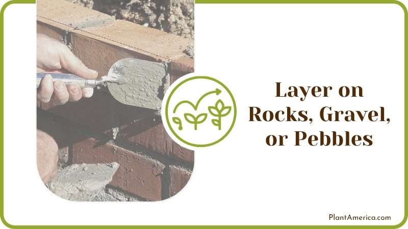 Garden Layer on Rocks Gravel or Pebbles Plant America