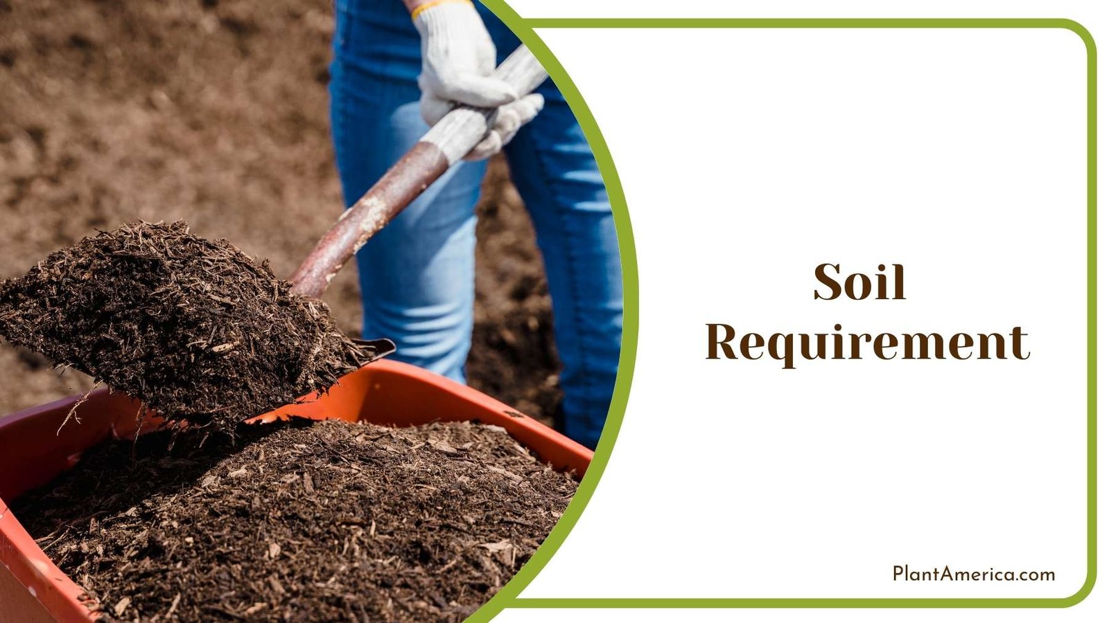 Gardener Hoeing The Soil Plant America Gardener Hoeing The Soil Plant America