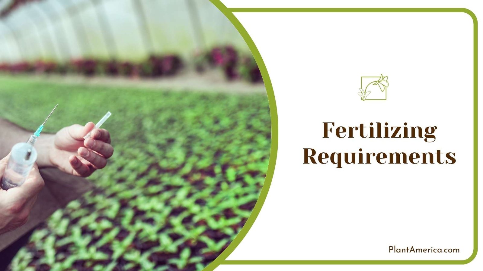 Gardener Make The Fertilizer Ready To Use ~ Plant America Gardener Make The Fertilizer Ready To Use ~ Plant America