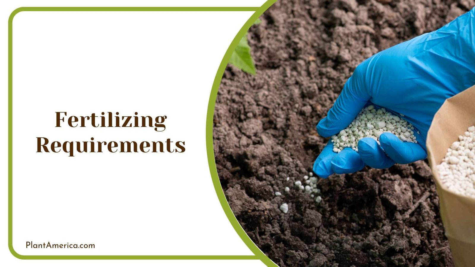 Gardener Tossing Fertilizer On Soil Plant America