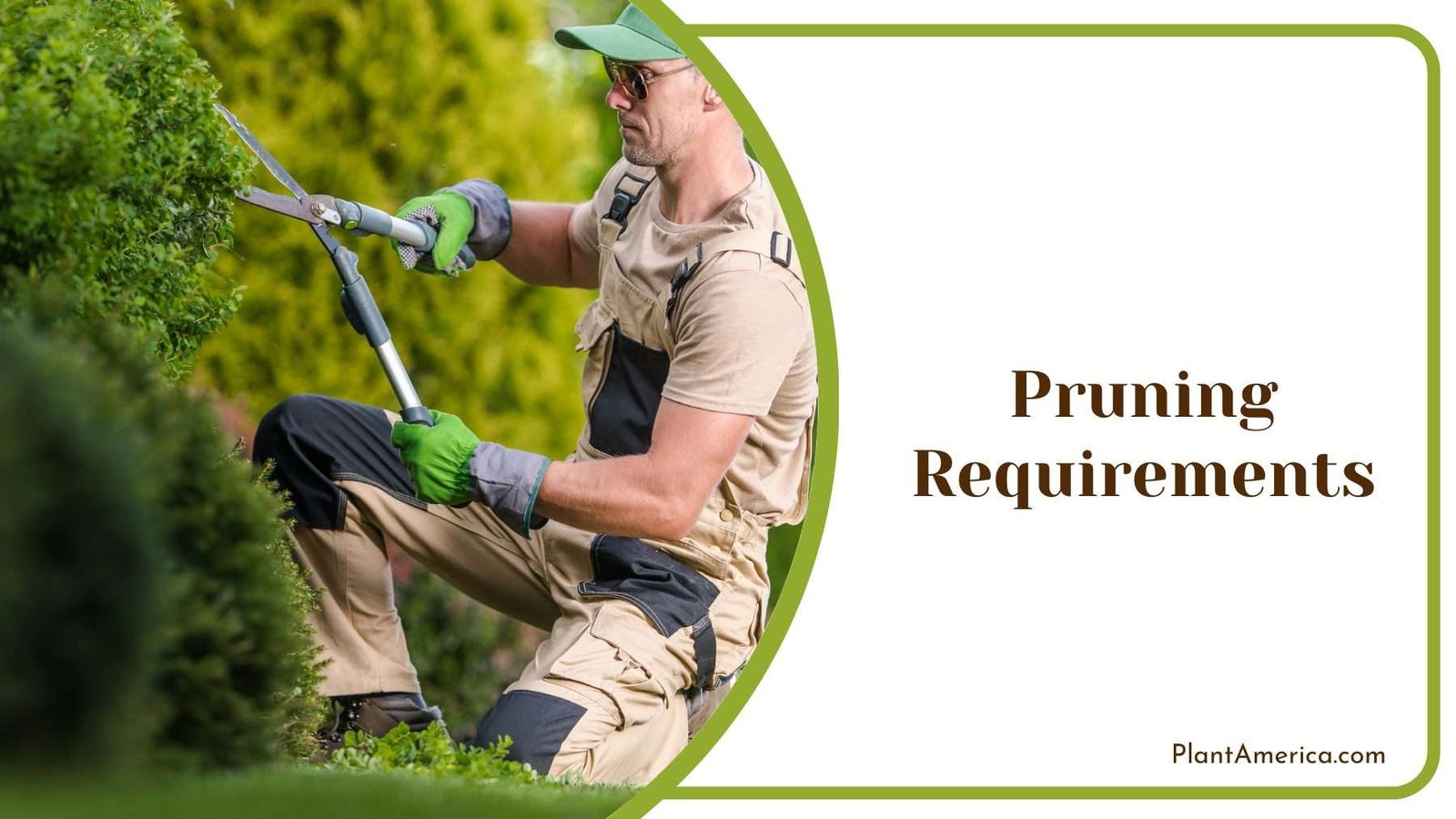 Gardener While Pruning Plant America 1