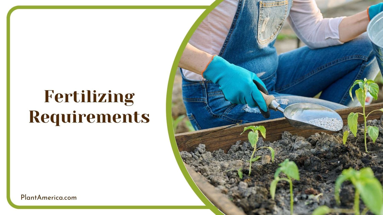 Gardener While Tossing Fertilizer Plant America Gardener While Tossing Fertilizer Plant America