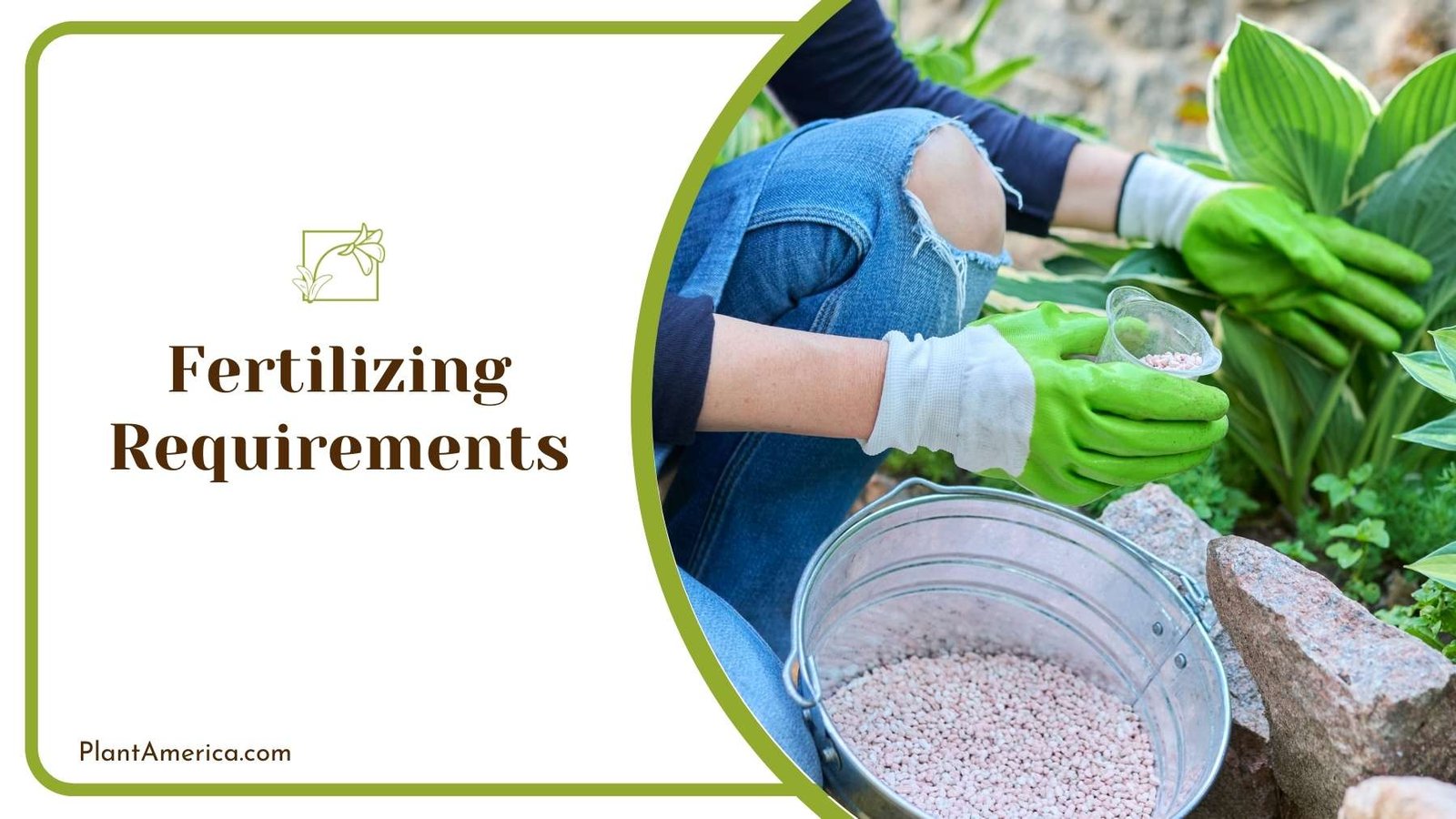Gardener With a Cup of Fertilizers in Hand ~ Plant America
