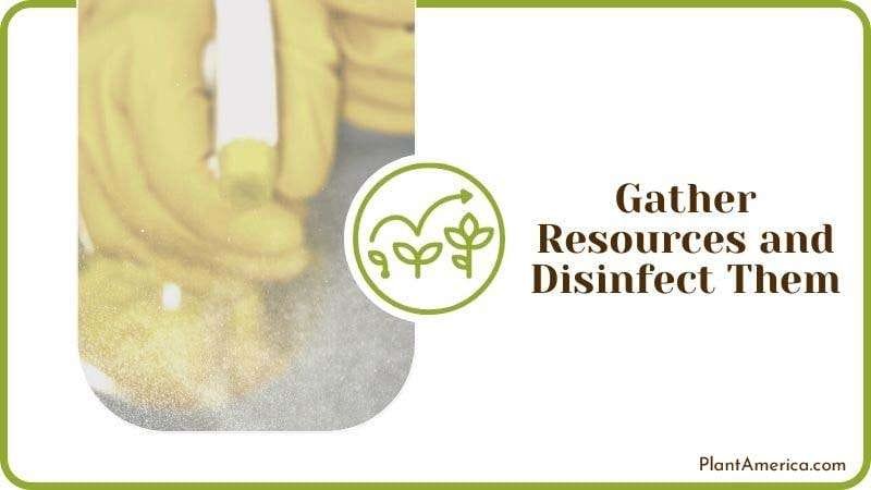 Gather Resources and Disinfect Them PlantAmerica Gather Resources and Disinfect Them PlantAmerica