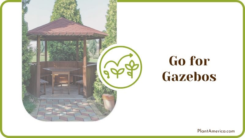 Gazebo help cover muddy yard Plant America